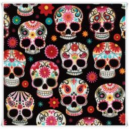 10 - PAISLEY SKULLS 2 (2).jpg